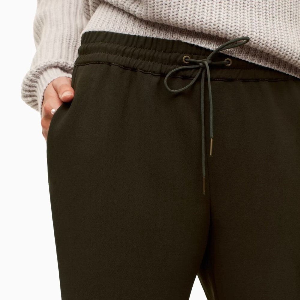 Aritzia Wilfred Bufoon pant .